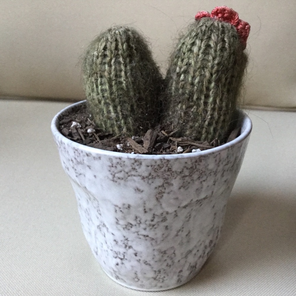 Knit Cactus - Picture 3 of 3